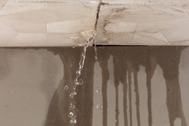 Professional Structural Drying technician working in Macatawa, MI